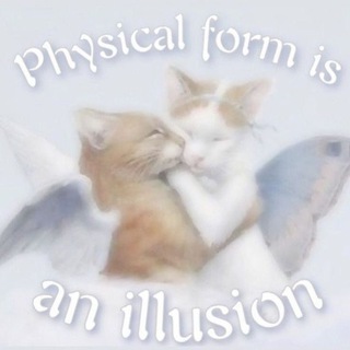 myavo переезд