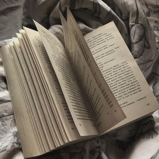 Книги/Начинающий писатель /