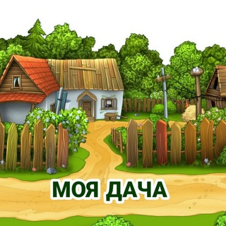 Заметки дачника | Урожай 2025