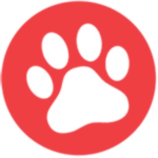 Мои счастливые собаки