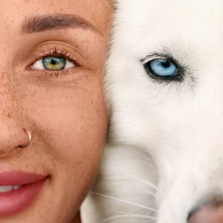 Психология без воды/Татьяна Гудкова