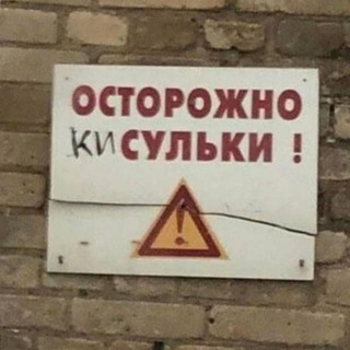 Моя маленькая киска