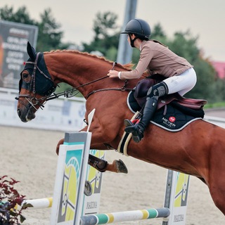 mу little кони💐