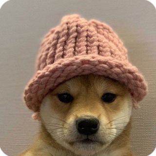 Вестник Маймуна