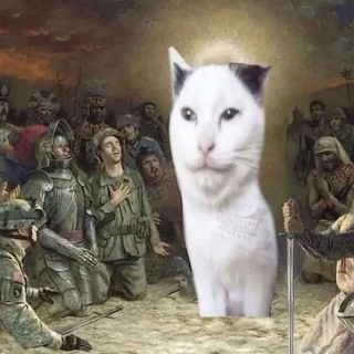 миока без таланта