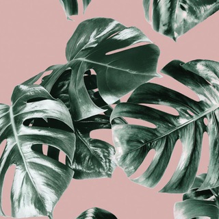 Коллекция растений