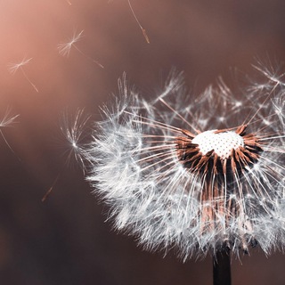 MyPsyHub - жизнь и практика двух психоаналитиков