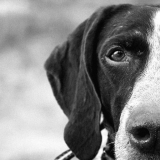 😈Рита и Демонята😈