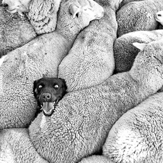 ⎈ Мир наоборот ®.