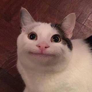 МЫШКИ СОСИСКИ