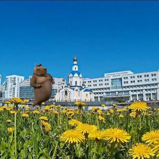 Мысли Мото Мото