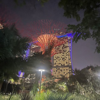 Мой путь в...