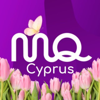 MozgoQuiz Кипр