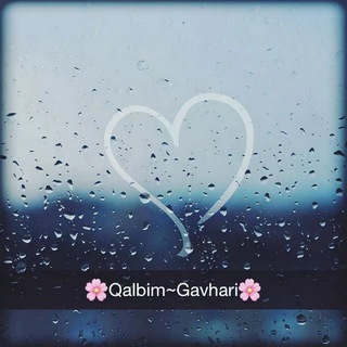 🌸🌸Q A L B I M 🔐 G A V H A R I 🌸🌸