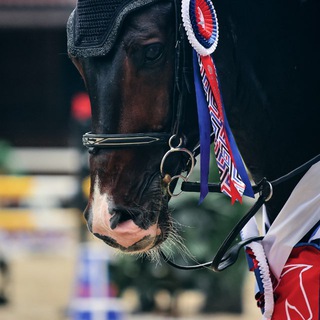 Фотограф Наталья Алексеева 📸