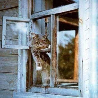 Разговоры на лавочке🌱