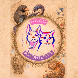 Надо волонтёрить!