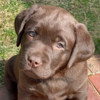 ✸ 𝔫𝔞𝔯𝔠𝔶 ✸ спортивная арка