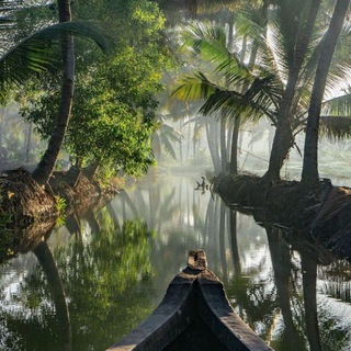 Наедине с природой