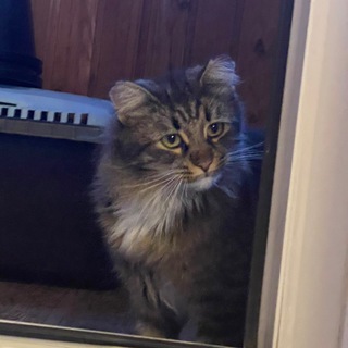 Я думала вы нормальные!