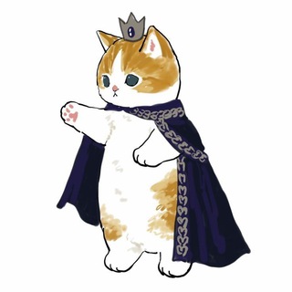 naidikote🐱