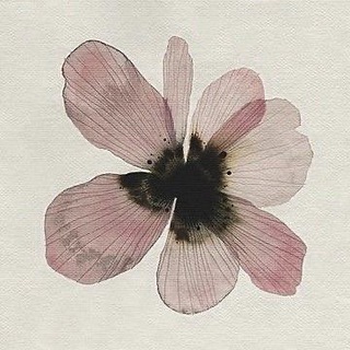 N𝔞𝔦𝔩𝔰 𝔞𝔫𝔡 𝔟𝔬𝔬𝔱𝔶