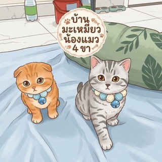 𝚗𝚊𝚖𝚒𝚗𝚐 𝚜𝚑𝚘𝚙💋