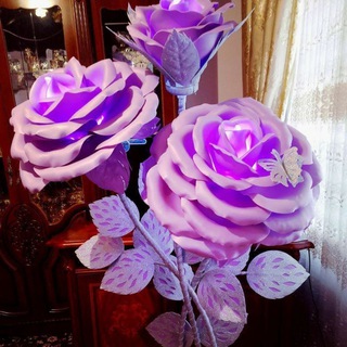 Gullar olami Sevara💐💐🌷🌷🌷