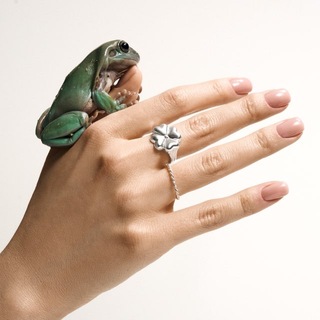 NANACODE. Украшения и культурные коды.