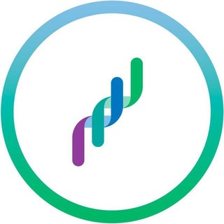 Команда Напалкова