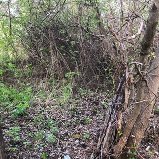 написано импактом