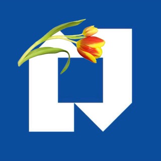 napo натяжные потолки