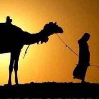 ✨ • История сподвижников •