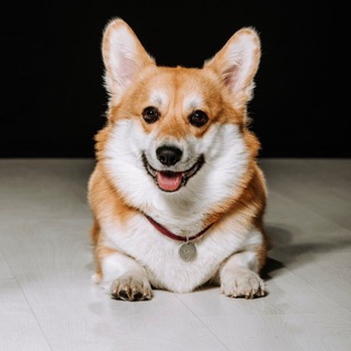 Юра, ко мне!