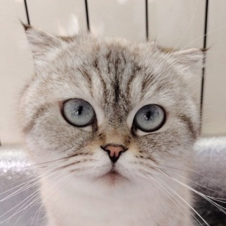 🐾 Нара и Маля 🐾