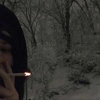 ⚜️ | Нарезки • Новости | Brawl stars [ Бравл старс ]