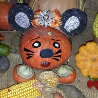 Игры, наблюдения, занятия и развлечения с ребенком. Дети занимаются