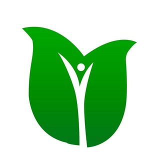 НАСТРОИ Сытина | канал о здоровье|лечение словом |исцеляющие медитации