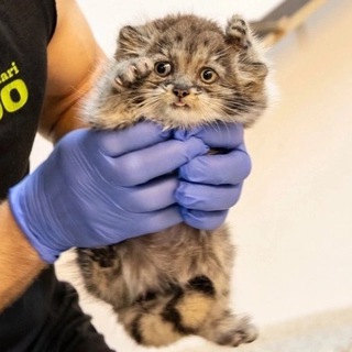 Фан клуб насти рыбы