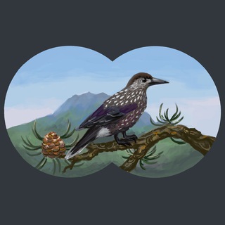 Уральский птицезыр