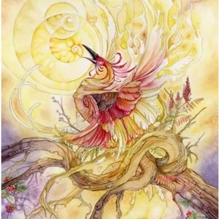 🦉🐦‍🔥【﻿𝙉𝙖𝙩𝙖𝙡𝙞𝙖_𝙏𝙖𝙧𝙤】🐦‍🔥🦉