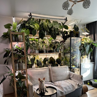 Наташа из шахты 🪴