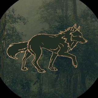 НАТАЛИЯ АНИКИНА