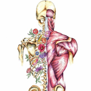 Остеопатия, Сколиоз, Коррекция осанки