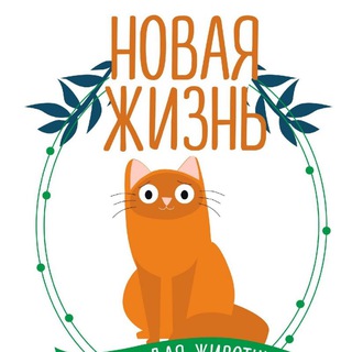 Фонд "Новая Жизнь"🍓