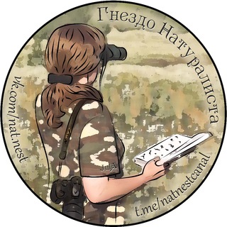 Гнездо Натуралиста 🏕 Live