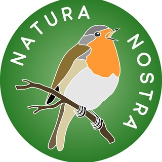 Онлайн-кружки Natura nostra ll Биология, химия, география