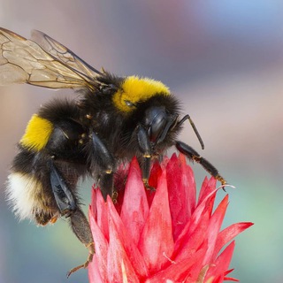 Тайны природы