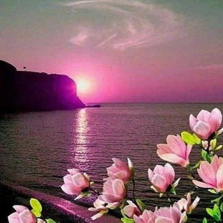 Чудо-природа