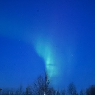 Природа севера